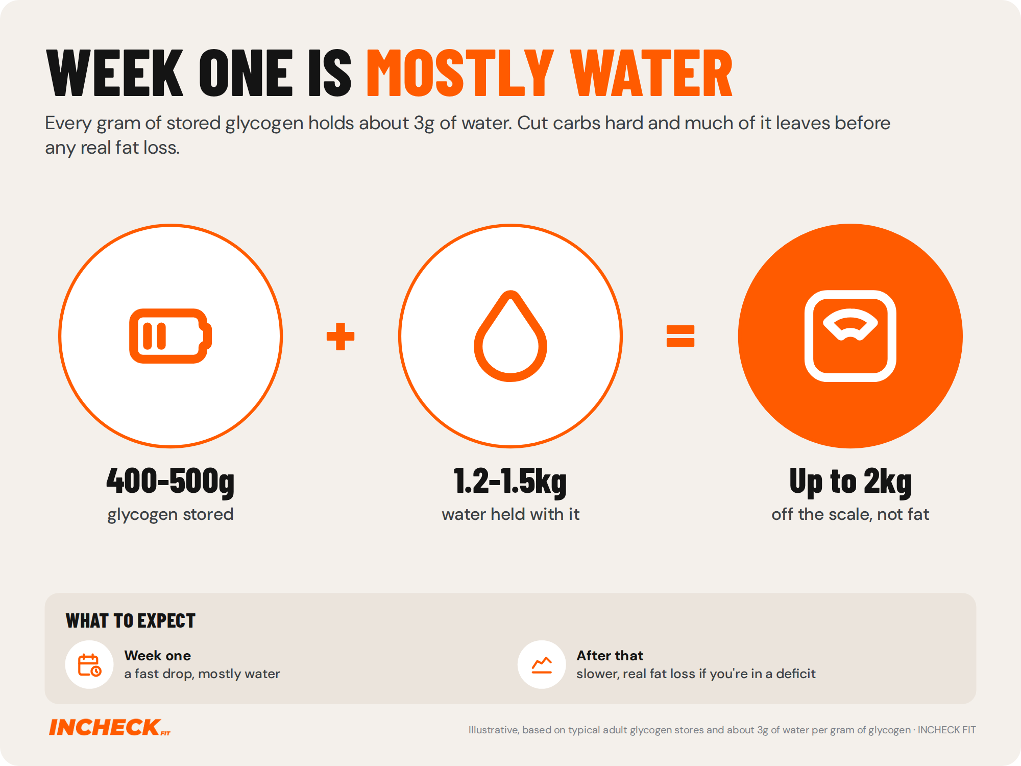 Illustration. Around 400 to 500g of stored glycogen plus 1.2 to 1.5kg of water held with it means up to 2kg can come off the scale in the first week of keto without any fat loss. Based on typical glycogen stores and about 3g of water per gram of glycogen.