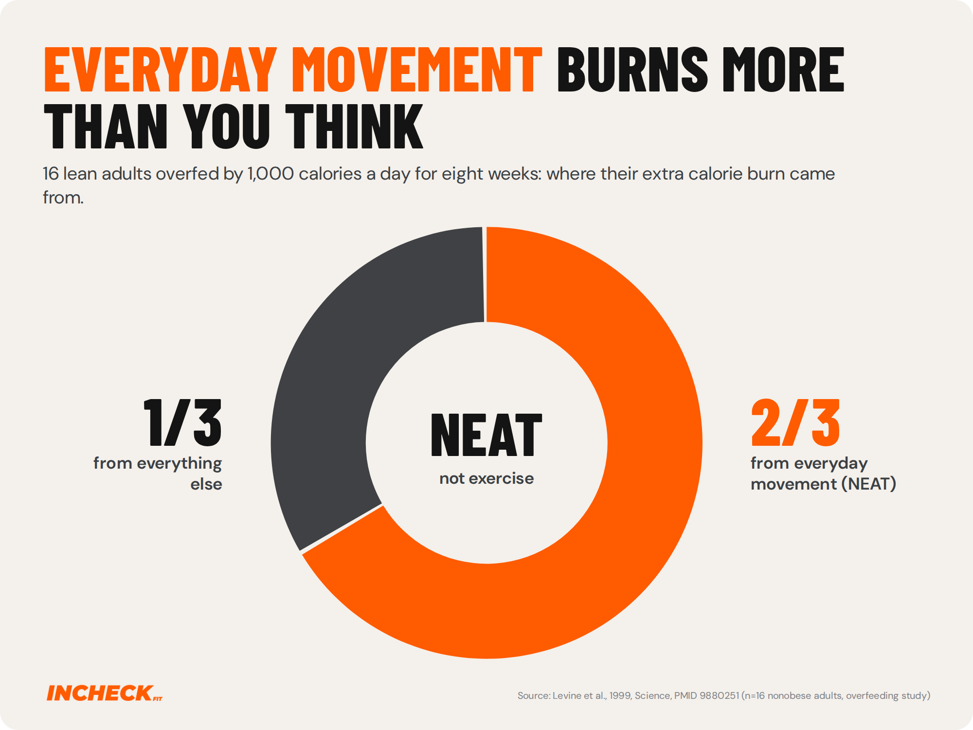 Donut chart. When 16 lean adults were overfed by 1,000 calories a day for eight weeks, about two-thirds of the increase in the calories they burned came from everyday non-exercise movement, known as NEAT, and about one-third from everything else.