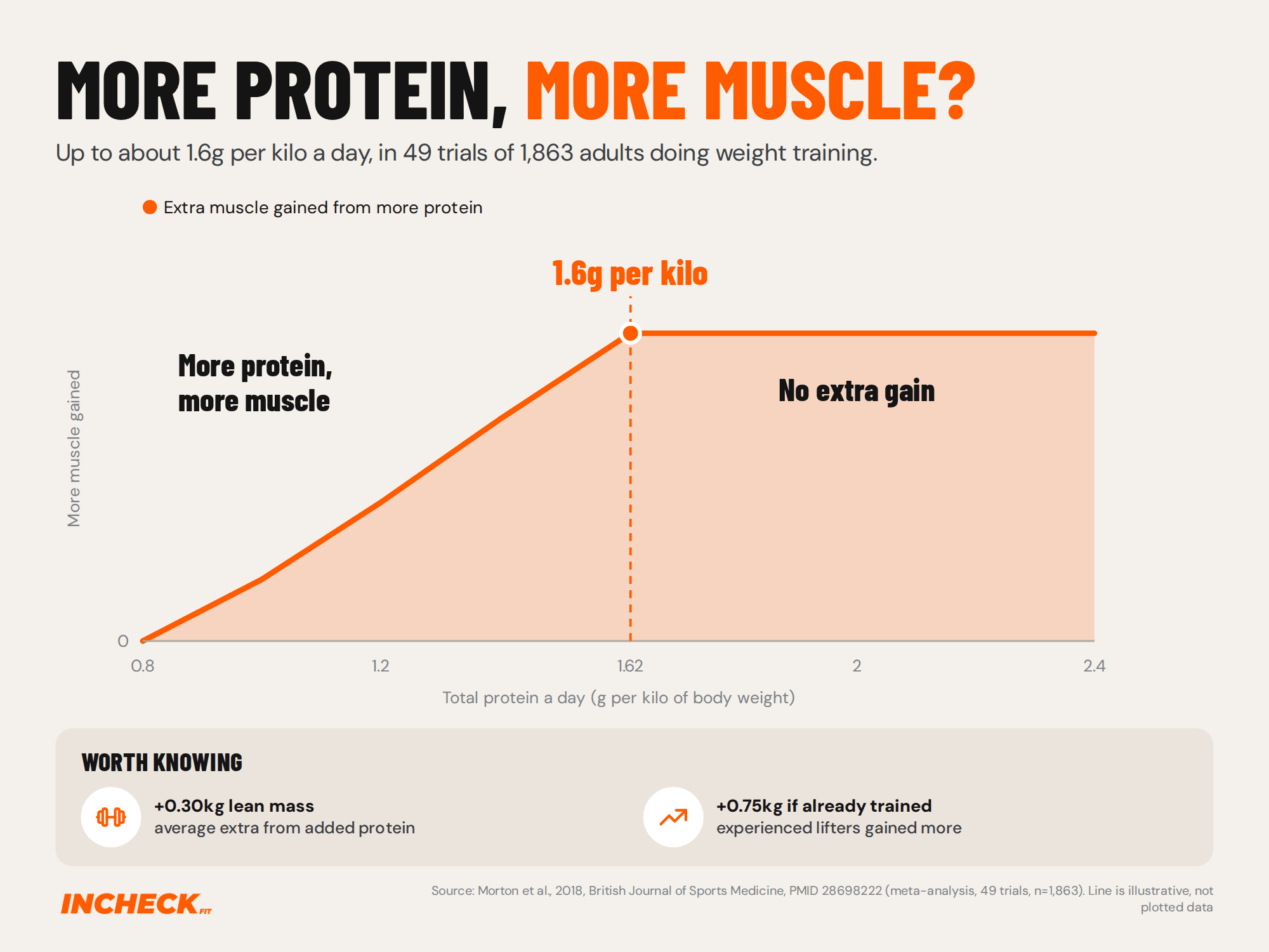 Illustrative line chart based on a 2018 meta-analysis of 49 trials in 1,863 adults doing weight training. More daily protein meant more muscle gained up to about 1.6g per kilo of body weight a day, after which extra protein brought no further gain. Added protein increased lean mass gains by about 0.30kg on average and 0.75kg in already-trained people.