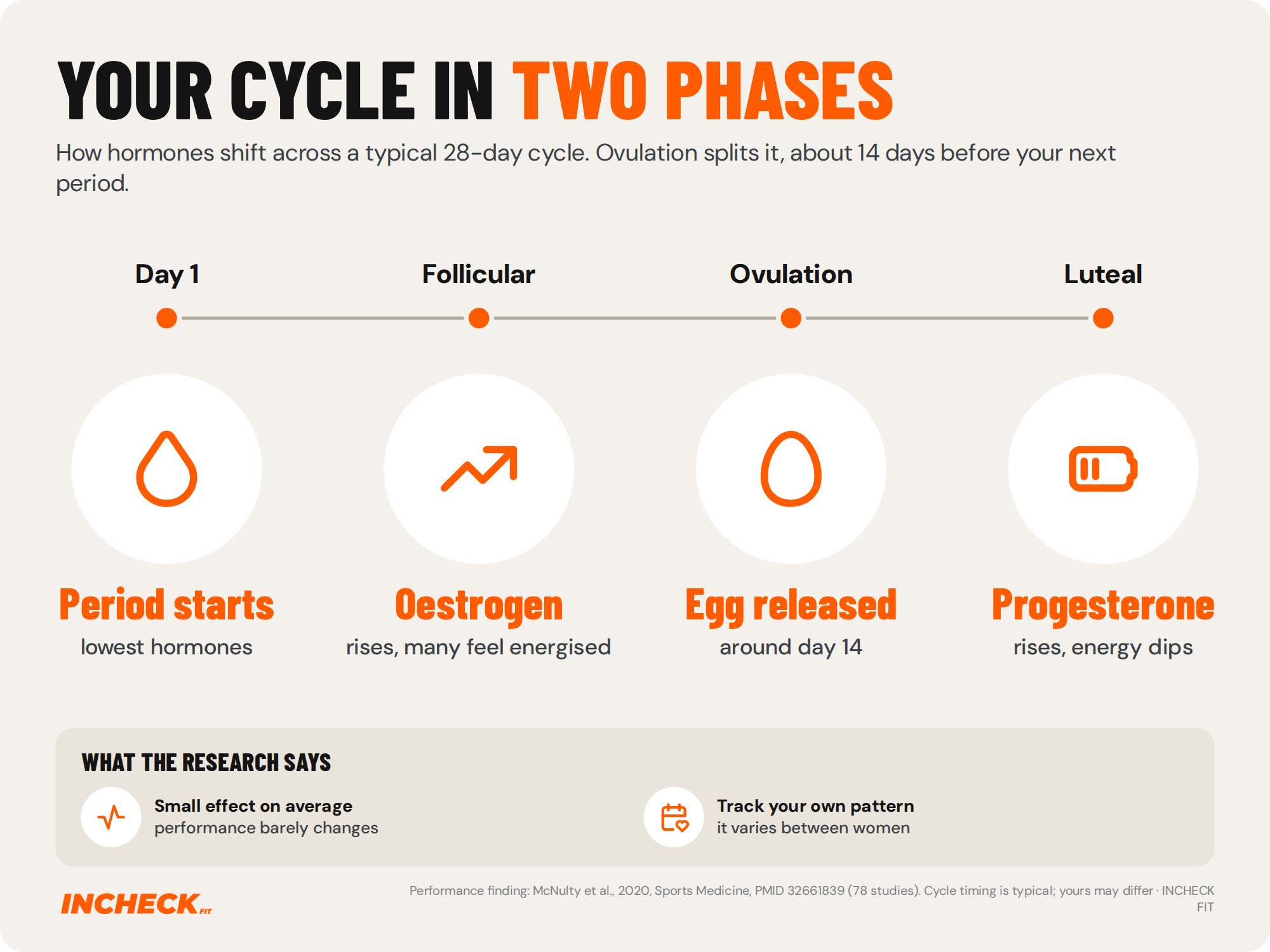 Diagram of a typical 28-day cycle: period starts on day 1 with the lowest hormone levels, oestrogen rises in the follicular phase, ovulation around day 14, and progesterone rises in the luteal phase. A review of 78 studies found only a small average effect of cycle phase on performance.
