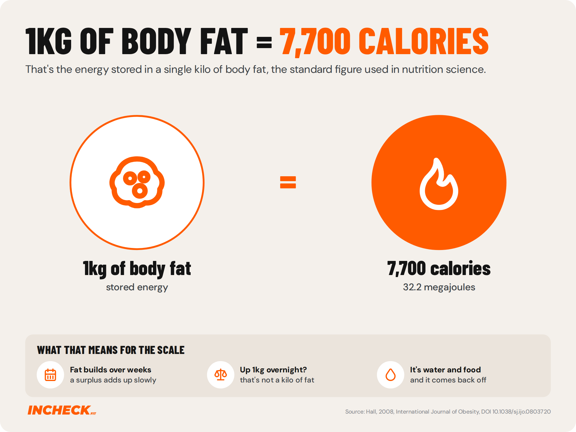 Graphic stating that 1kg of body fat equals 7,700 calories, or 32.2 megajoules, the standard figure for the energy stored in a kilo of body fat. A panel below explains that fat builds over weeks of surplus, so a 1kg jump overnight is water and food rather than fat.