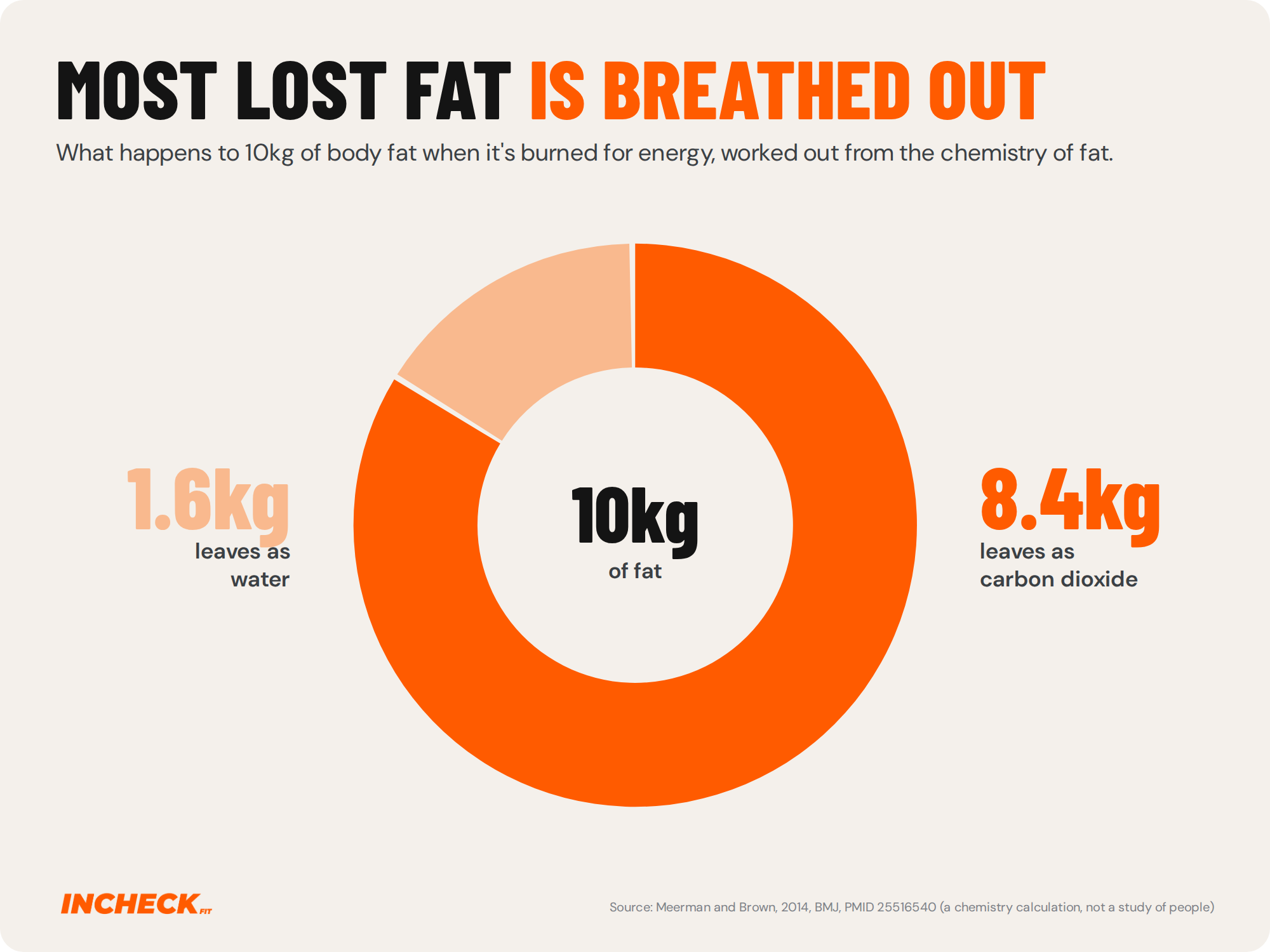 Donut chart. Of 10kg of body fat burned for energy, about 8.4kg leaves the body as exhaled carbon dioxide and about 1.6kg as water, according to a 2014 chemistry calculation published in the BMJ, not a study of people.